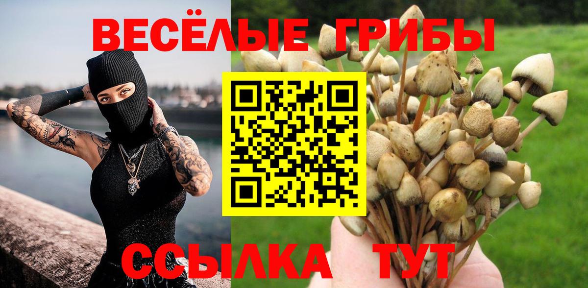 Крымск  Галлюциногенные грибы Psilocybe  Вход с VPN  Псилоцибиновые грибы MAGIC MUSHROOMS 