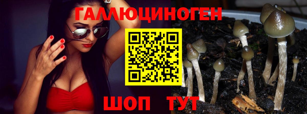 Галлюциногенные грибы Magic Shrooms Крымск